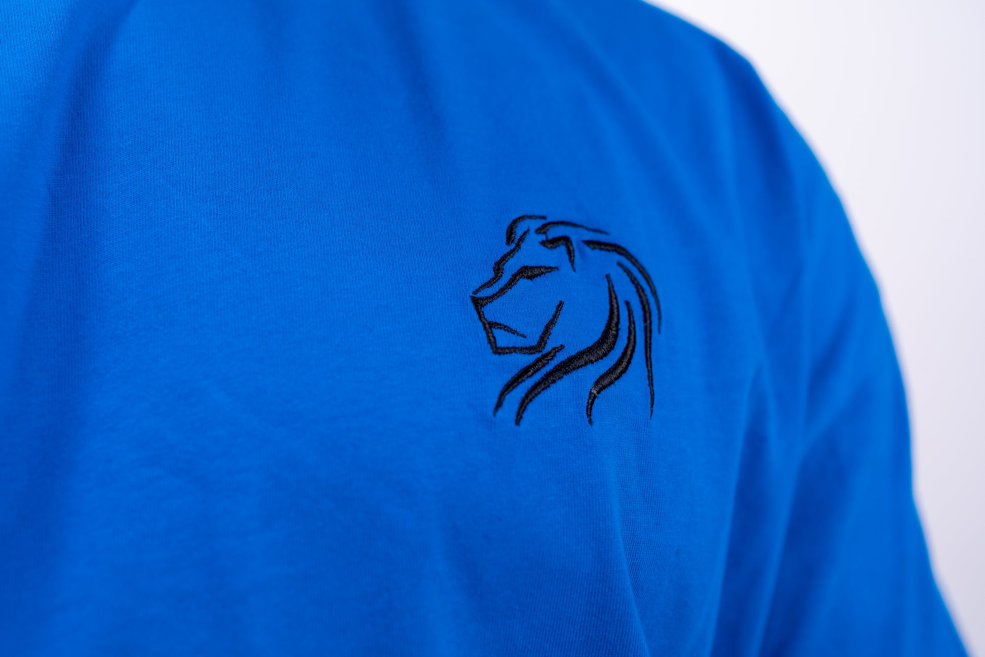 DROP03 Become the Lion Collection Back Statement Shirt (ocean) - OVRCME ATHLETICS