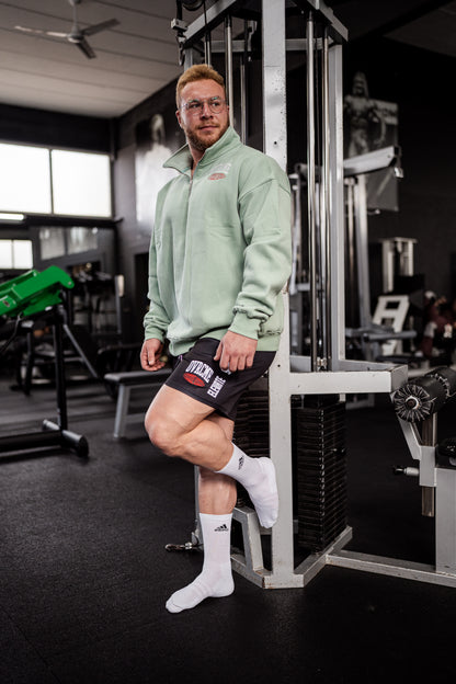 ELEVATE Performance Club 1/4 ZIP-Pullover (mint)